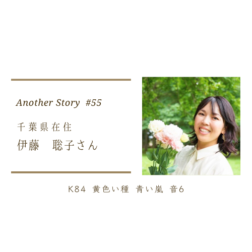 マヤ暦で自分の種を知る。本来の自分を取り戻す。