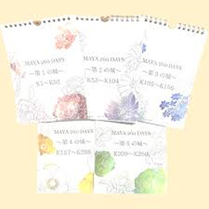 MAYA260DAYS 日めくりカレンダー